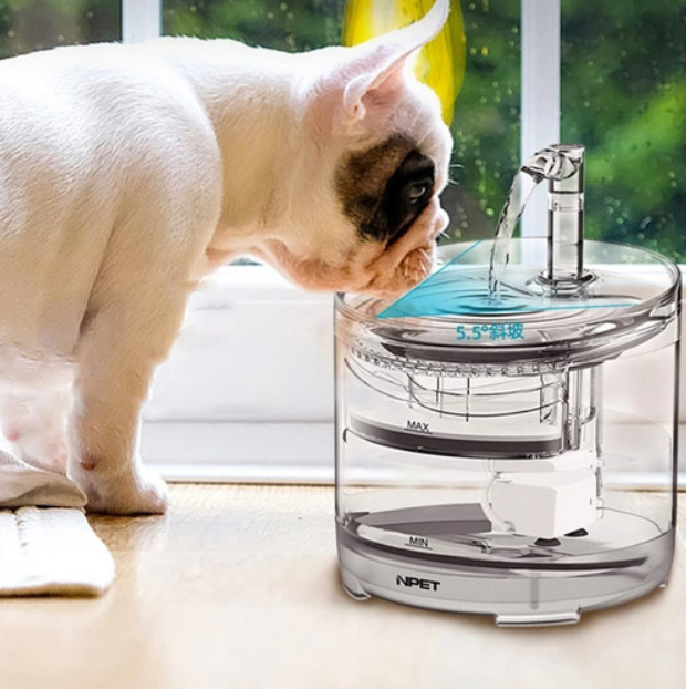 Fuente para gatos y perros transparente